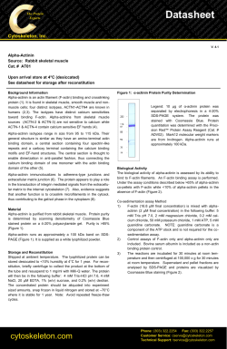 Datasheet - Cytoskeleton, Inc.