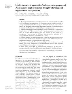 Limits to water transport in Juniperus osteosperma and Pinus edulis