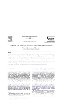 Short-term item memory in successive same&ndash;different discriminations
