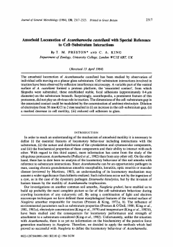 Amoeboid Locomotion of Acanthamoeba castellanii