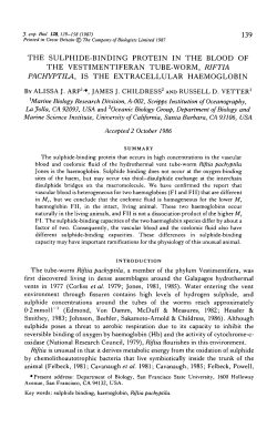 the sulphide-binding protein in the blood