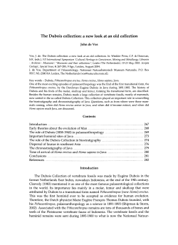 The Dubois collection: a new look at an old collection