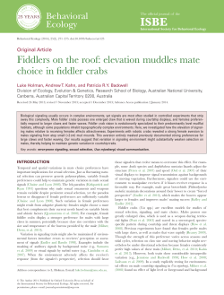 Fiddlers on the roof: elevation muddles mate