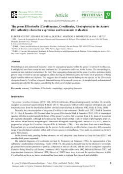 Full article - Magnolia press