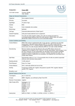 Colo-205 - CLS Cell Lines Service