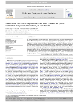 A Pleistocene inter-tribal allopolyploidization event precedes the