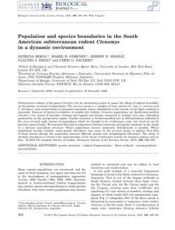 Population and species boundaries in the South American