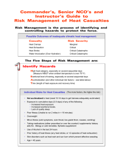 Commander`s, Senior NCO`s and Instructor`s Guide to Risk