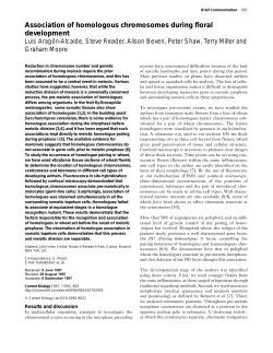 Association of homologous chromosomes during floral development