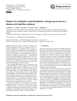 Balance of assimilative and dissimilative nitrogen processes in a