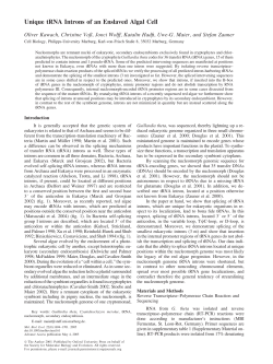 Unique tRNA Introns of an Enslaved Algal Cell