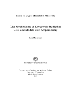 The Mechanisms of Exocytosis Studied in Cells and