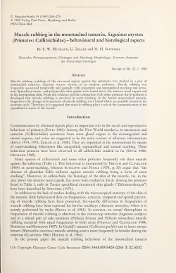 Zeitschrift f&uuml;r S&auml;ugetierkunde : im Auftrage der Deutschen