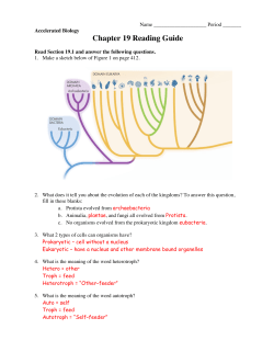 Chapter 19 Reading Guide