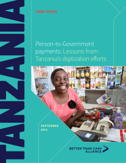 Person-to-Government payments: Lessons from Tanzania`s