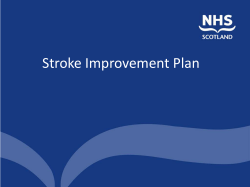 SSAHP 2015 Conference. Stroke Improvement Plan