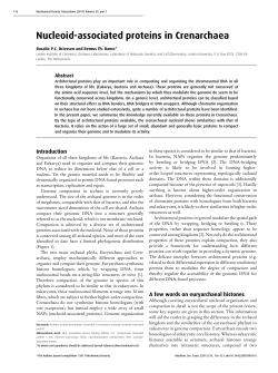 Nucleoid-associated proteins in Crenarchaea