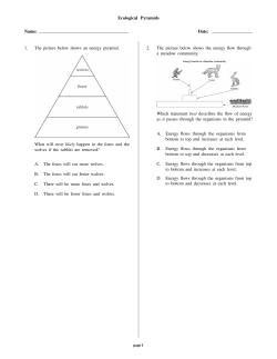 Ecological Pyramids