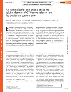 An intramolecular salt bridge drives the soluble domain of GTP