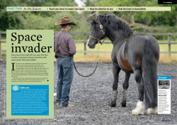 PART TWO In this feature. . . Teach your horse to respect your space