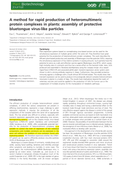 A method for rapid production of heteromultimeric protein complexes
