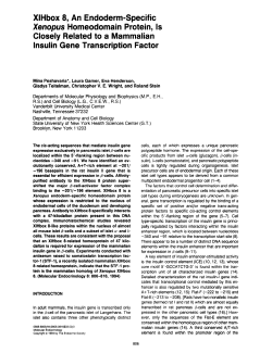 XIHbox 8, An Endoderm-Specific Xenopus Homeodomain Protein, Is
