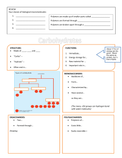 REVIEW Four classes of biological macromolecules: 1. 2. 3. ______