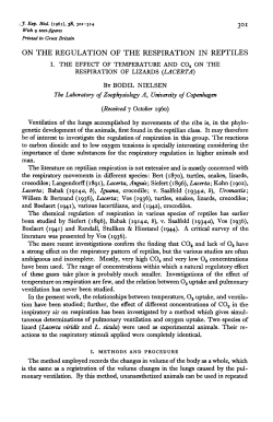 ON THE REGULATION OF THE RESPIRATION IN REPTILES