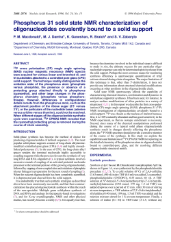 Phosphorus 31 solid state NMR characterization of oligonucleotides