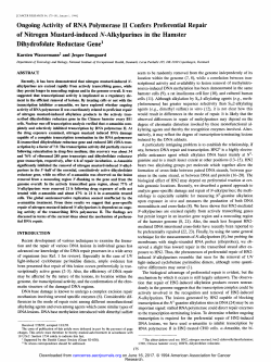Ongoing Activity of RNA Polymerase II Confers