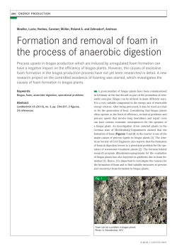 Formation and removal of foam in the process of anaerobic