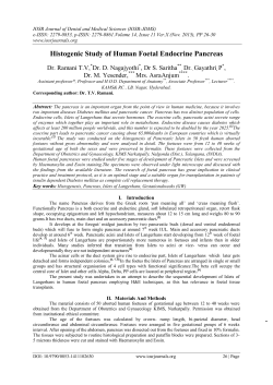 Histogenic Study of Human Foetal Endocrine Pancreas