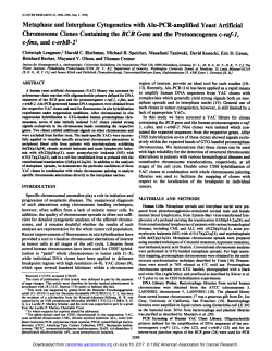Metaphase and Interphase Cytogenetics with