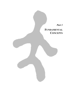 PDF version - Research Laboratories of Archaeology