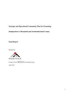 Strategic and Operational Community Plan for Promoting