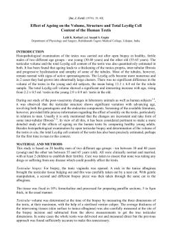 Effect of ageing on the volume, structure and total leydig cell content