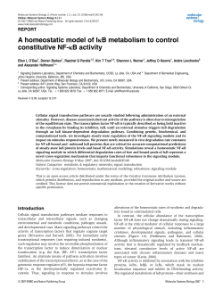 A homeostatic model of I&kappa;B metabolism to control constitutive NF‐&kappa;B