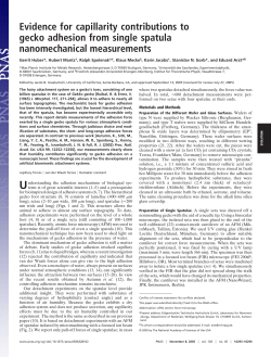 Evidence for capillarity contributions to gecko adhesion from single