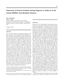 Depression of Protein Synthesis during Diapause in Embryos of the