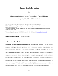 Supporting Information