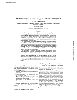 The Uhrastructure of Mouse Lung: The Alveolar Macrophage*