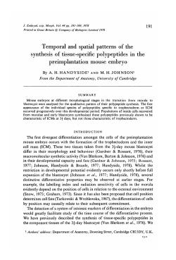 Temporal and spatial patterns of the synthesis of