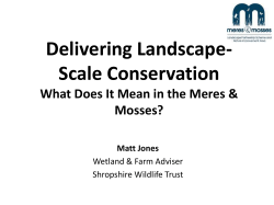Delivering Landscape-Scale Conservation What Does It Mean in the