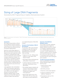 Sizing of Large DNA Fragments Generated by BAC Fingerprinting
