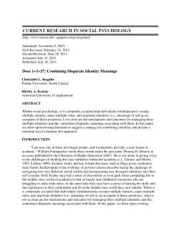 Does 1+1=3?: Combining Disparate Identity Meanings