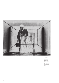 Between canvas and celluloid: Painted films and