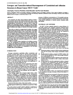 Estrogen- and Tamoxifen-induced Rearrangement of Cytoskeletal