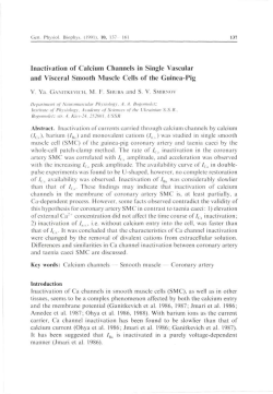 Inactivation of Calcium Channels in Single Vascular and Visceral