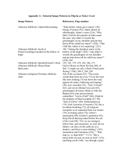 Appendix A&mdash;Selected Image Patterns in Pilgrim at