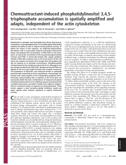 PDF Version - Devreotes Lab